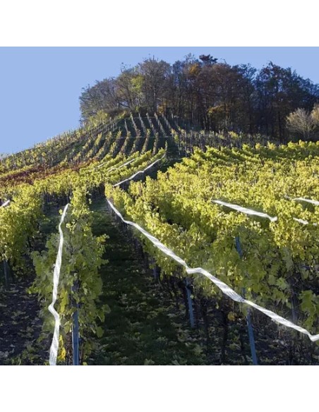 Paukščių repelentas - 80m juosta Repest 21041