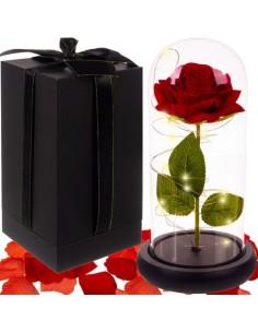 Rožė stikle – šviečiantis Malatec 21619