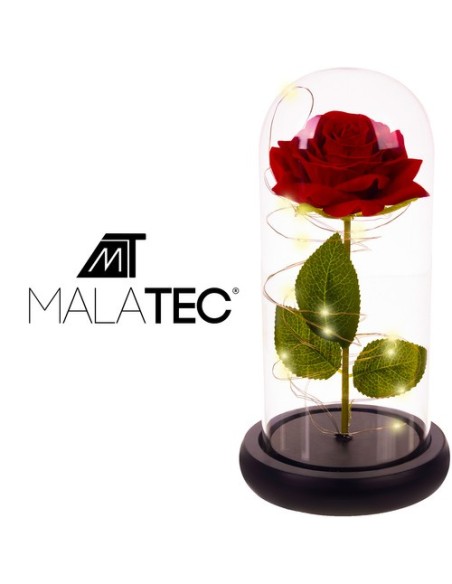 Rožė stikle – šviečiantis Malatec 21619