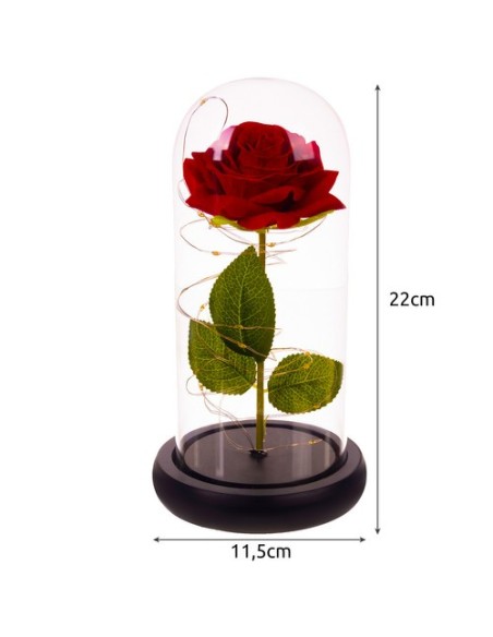 Rožė stikle – šviečiantis Malatec 21619