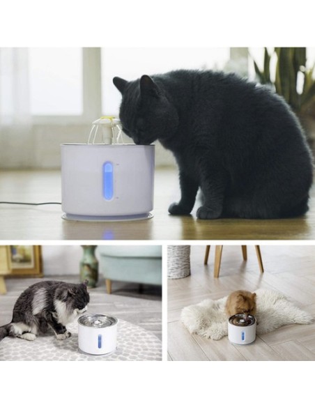 Filtras fontanui/ gertukui - 6 vnt. Purlovas 21597