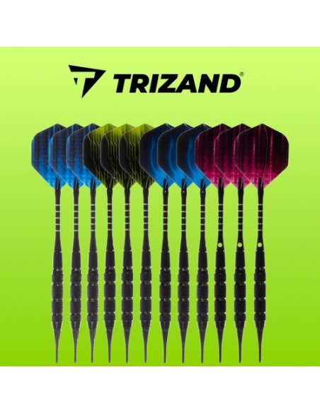 Smiginio rinkinys 12 dalių + priedai Trizand 21629