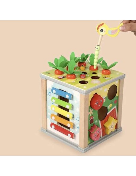 Medinis lavinantis kubas - rūšiuotojas Kruzzel 22566