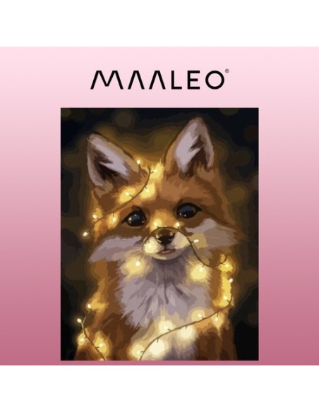 Tapyba pagal skaičius 40x50cm - Maaleo lapė 22782