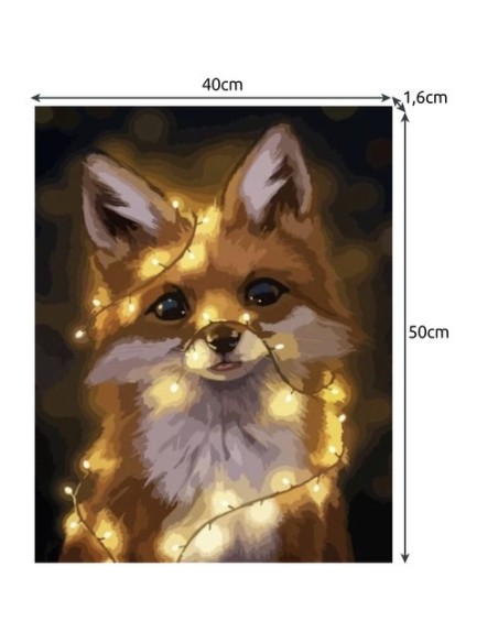 Tapyba pagal skaičius 40x50cm - Maaleo lapė 22782