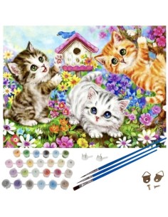 Tapyba pagal skaičius 40x50cm - Maaleo cats 22781