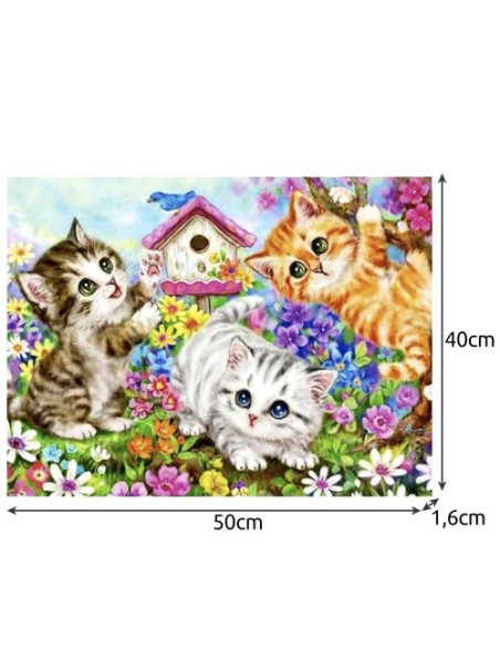 Tapyba pagal skaičius 40x50cm - Maaleo cats 22781