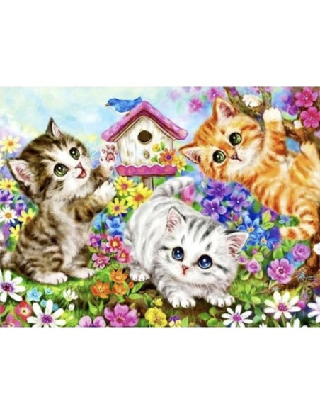 Tapyba pagal skaičius 40x50cm - Maaleo cats 22781