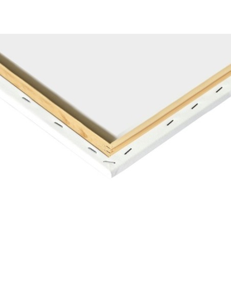 Tapyba pagal skaičius 40x50cm - Maaleo cats 22781