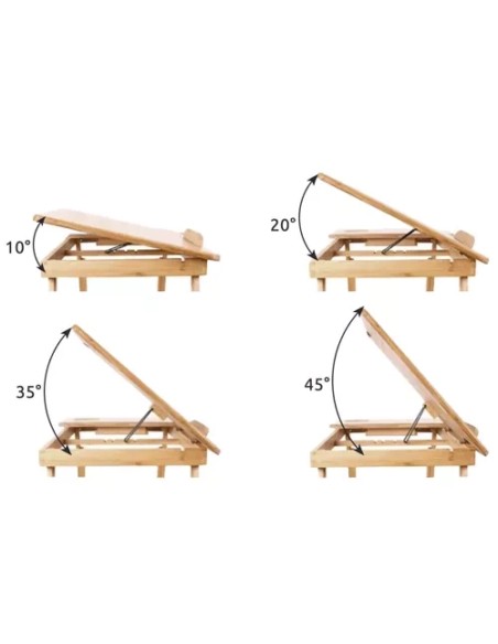 Nešiojamojo kompiuterio staliukas S23452