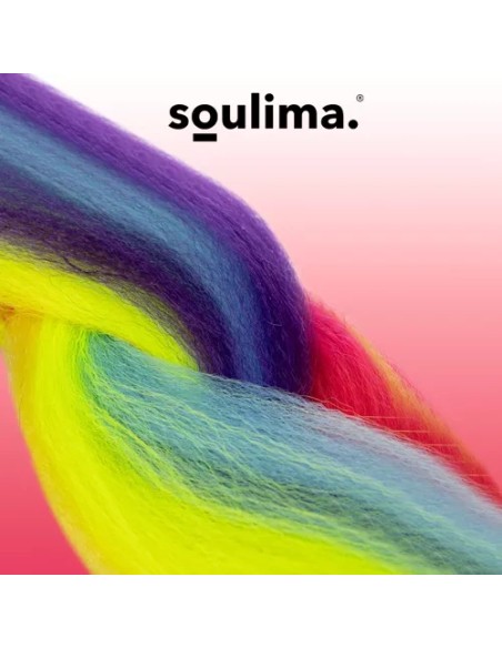 Sintetinės vaivorykštės plaukų pynės Soulima 23571
