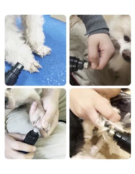 Nagų kirpimo mašinėlė Purlov 23658