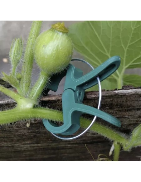 Klipai - augalų segtukai - 108 vnt. Gardlovas 22586