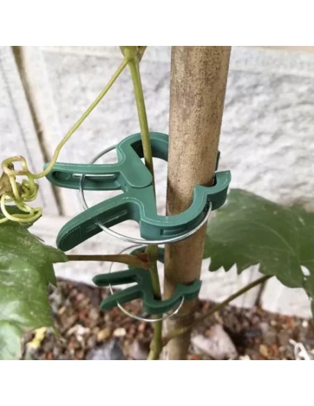 Klipai - augalų segtukai - 108 vnt. Gardlovas 22586