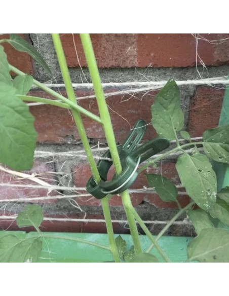 Klipai - augalų segtukai - 108 vnt. Gardlovas 22586