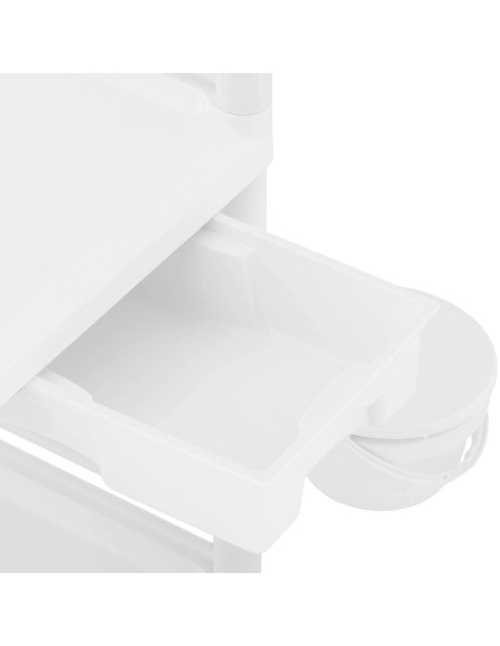 Kosmetikos laboratorinis vežimėlis 2 lentynos 1 stalčius 3 konteineriai 83 x 53 x 91 cm 40 kg Kosmetikos laboratorinis vežimėlis 2 lentynos 1 stalčius 3 konteineriai 83 x 53 x 91 cm 40 kg