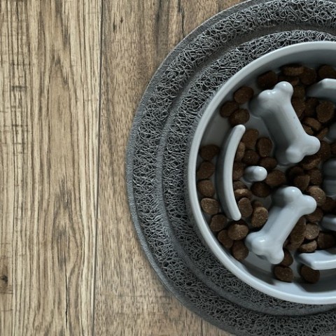 Purlov 24088 katės / šuns dubenėlio padėklas