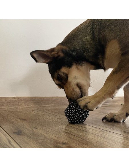 Šunų žaislų rinkinys - 10 vnt. Purlov 24388