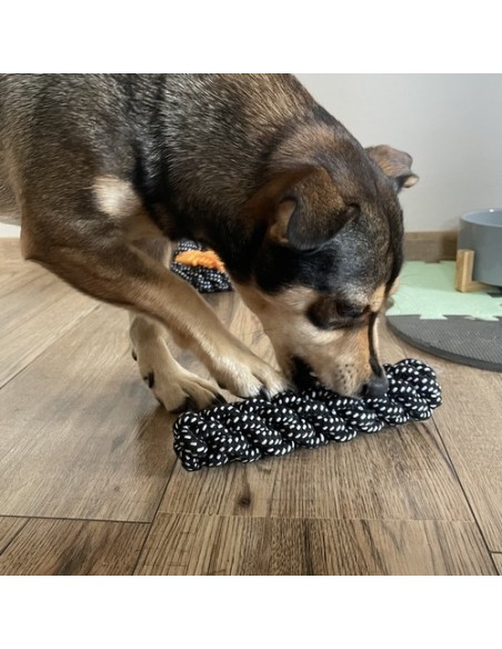 Šunų žaislų rinkinys - 10 vnt. Purlov 24388