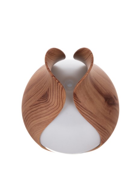 Aroma difuzorius - drėkintuvas 200ml Ruhhy 24610