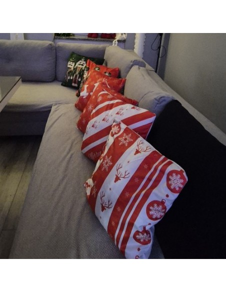 Dekoratyvinis pagalvės užvalkalas 45x45xcm Ruhhy x4 24827