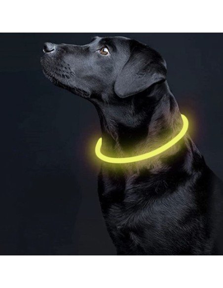 LED šviesos reguliuojama apykaklė Purlov 24200