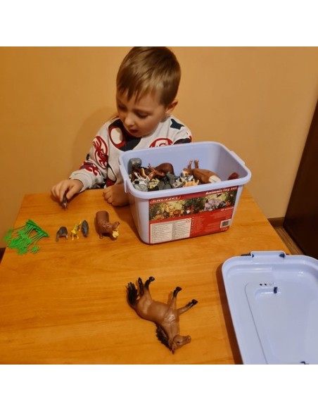 Gyvūnai - Kruzzel 24816 figūrėlių rinkinys