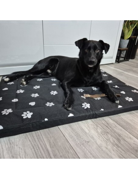 Šuns guolis 100x70cm Purlov 24862