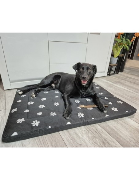 Šuns guolis 100x70cm Purlov 24862