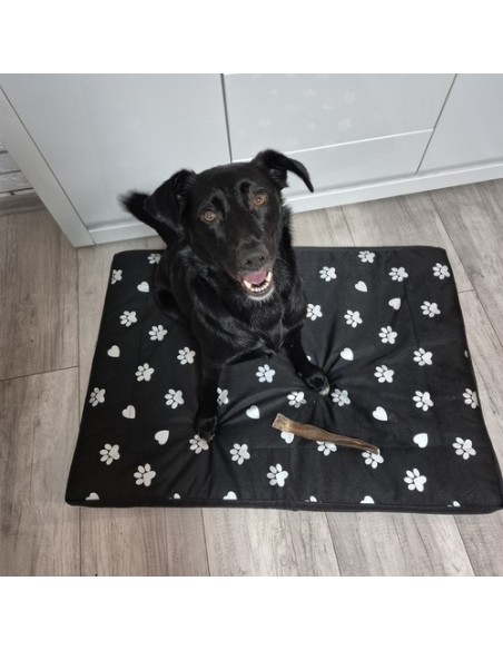 Šuns guolis 100x70cm Purlov 24862