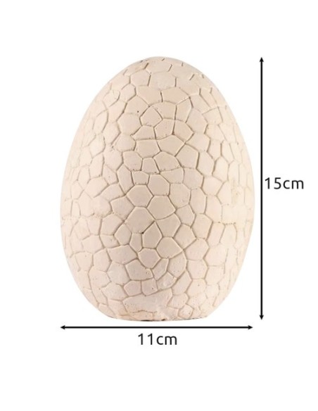 Dinozaurų kiaušinis – iškasimas 24981