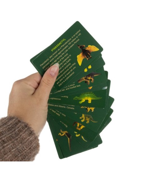 Dinozaurų kiaušinis – iškasimas 24981