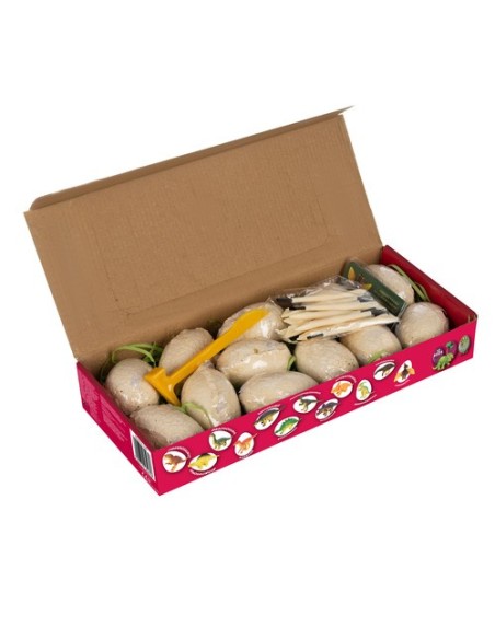 Dinozaurų kasykla – Kruzzelio kasinėjimai 24982