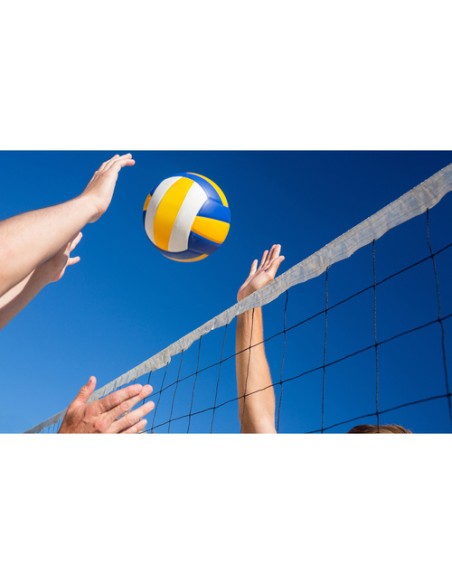 Tinklinio tinklelis + krepšys 23427