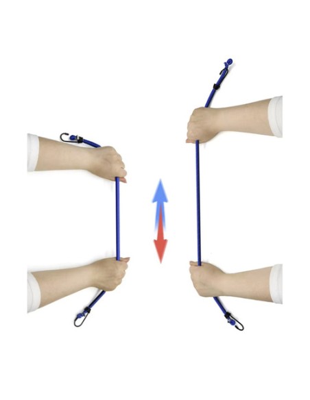 Bagažo tvirtinimo diržai 25363