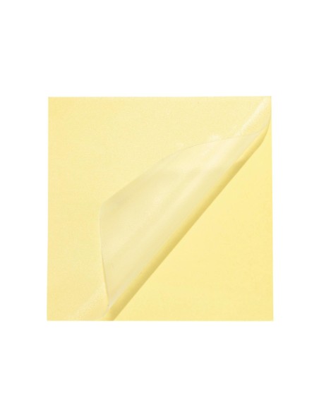 Pripučiama sodo kėdė Gardlov 25365