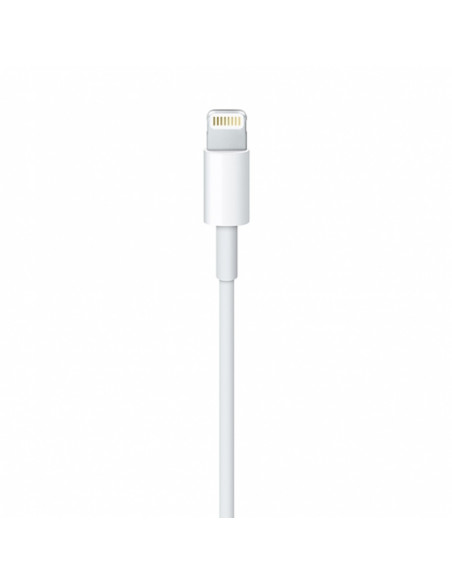
Apple USB-A - Lightning į iPhone kabelis 0,5 m - baltas
