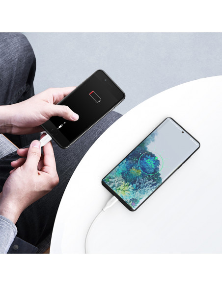 
iPhone USB-C - Lightning MFi PD laidas 30W 1.2m - baltas
