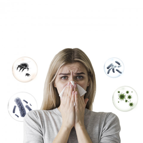 
Čiužinių dulkių siurblys alergiškiems žmonėms, UV + ultragarsinis dulkių erkučių šalinimas, 500 W, M300 - baltas
