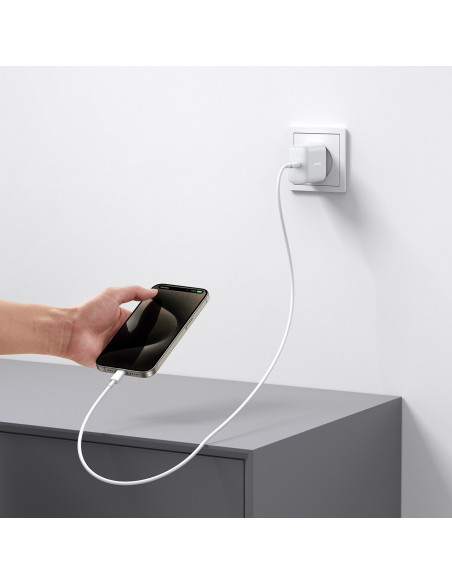 
USB-C PD 30W QC SFC sieninis įkroviklis – baltas
