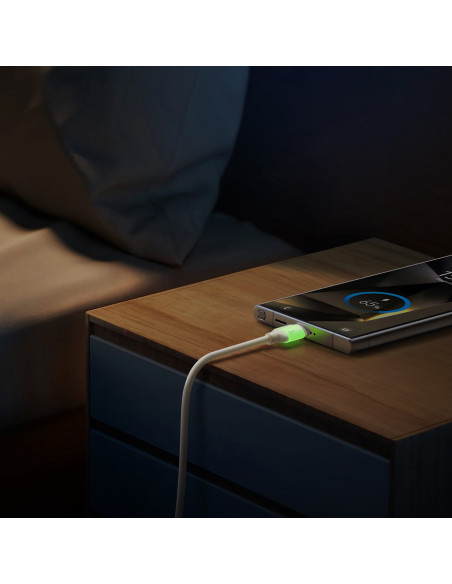 
USB-A - USB-C laidas su fluorescenciniu antgaliu 1,2 m - smėlio spalvos
