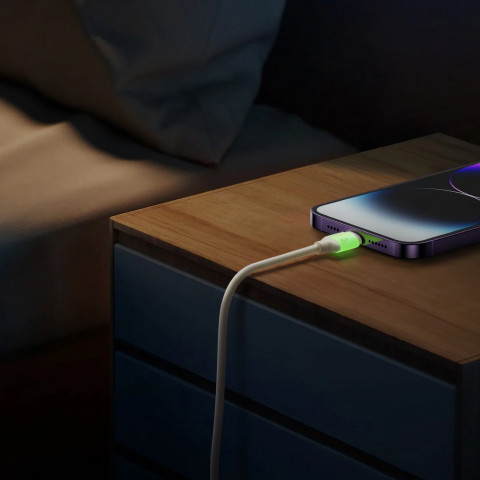 
USB-C – „iPhone Lightning“ laidas su fluorescenciniu antgaliu, 30 W, 1,2 m – smėlio spalvos
