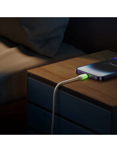 
USB-C – „iPhone Lightning“ laidas su fluorescenciniu antgaliu, 30 W, 1,2 m – smėlio spalvos
