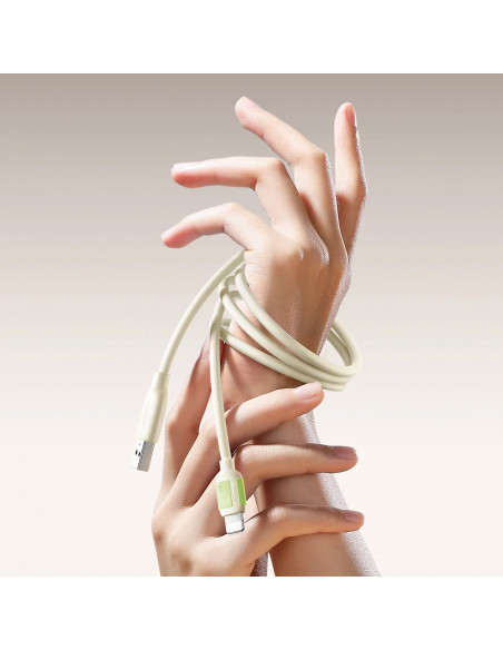 
USB-C – „iPhone Lightning“ laidas su fluorescenciniu antgaliu, 30 W, 1,2 m – smėlio spalvos
