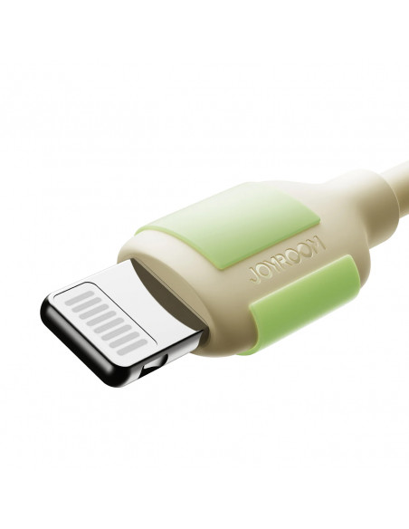 
USB-C – „iPhone Lightning“ laidas su fluorescenciniu antgaliu, 2 m, 30 W – smėlio spalvos
