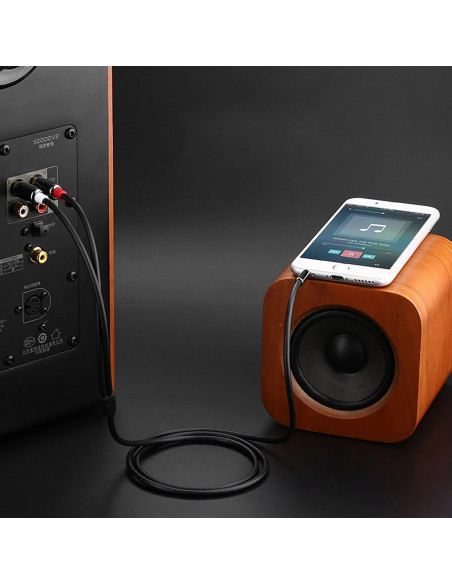 
Garso kabelis su mini lizdu (kištukas) - 2RCA (kištukas) 1 m - juodas
