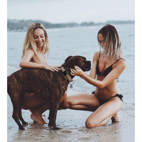 
„Apple AirTag“ silikoninis dėklas šuns ar katės antkakliui – juodas
