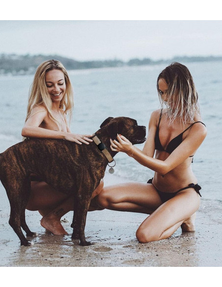 
„Apple AirTag“ silikoninis dėklas šuns ar katės antkakliui – juodas
