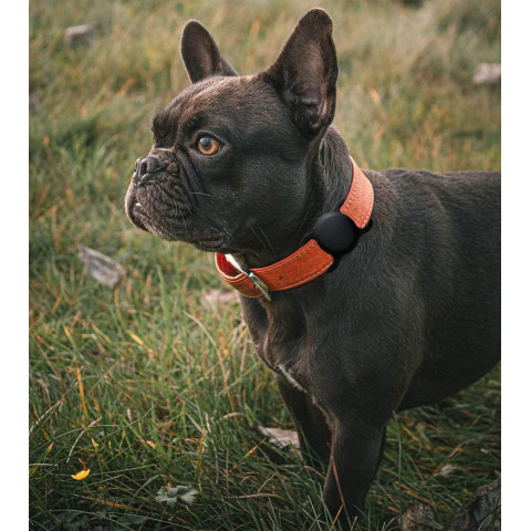 
„Apple AirTag“ silikoninis dėklas šuns ar katės antkakliui – juodas
