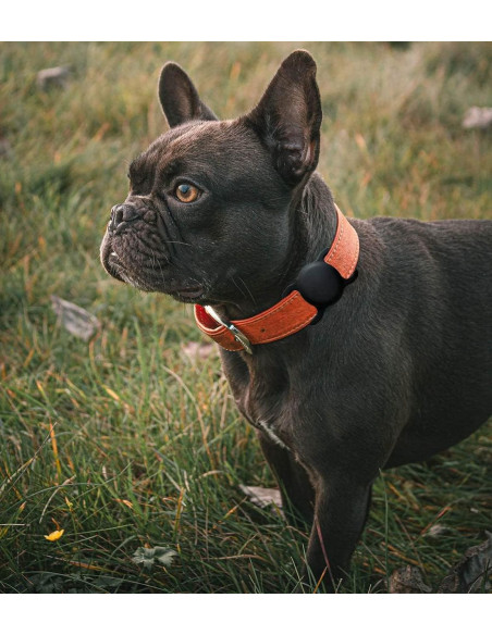 
„Apple AirTag“ silikoninis dėklas šuns ar katės antkakliui – juodas
